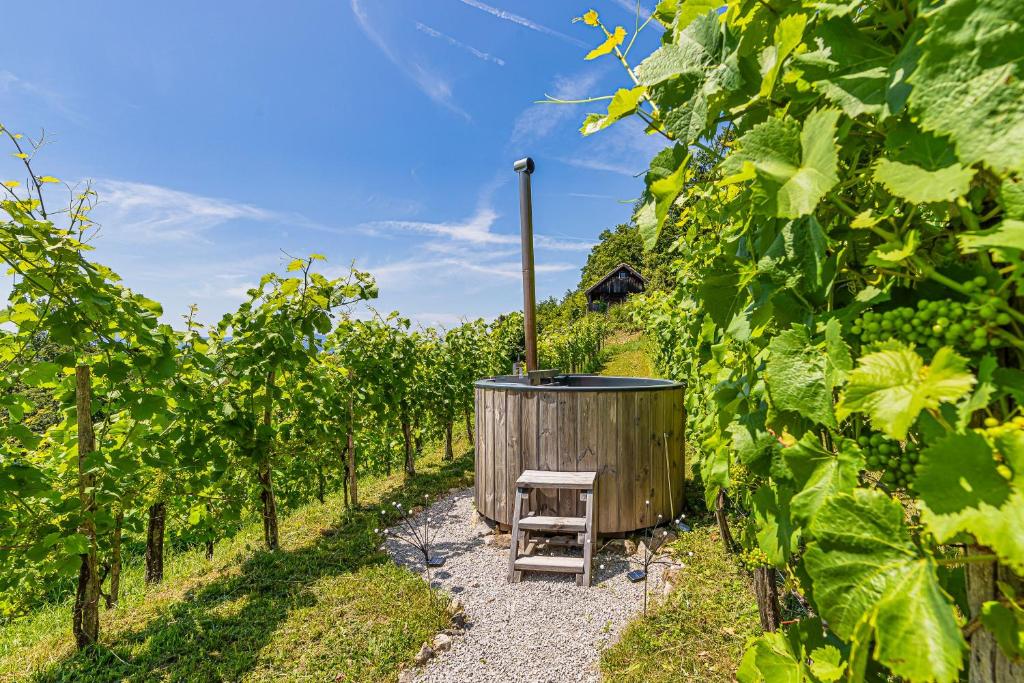 Zahrada ubytování Vineyard Cottages Skatlar