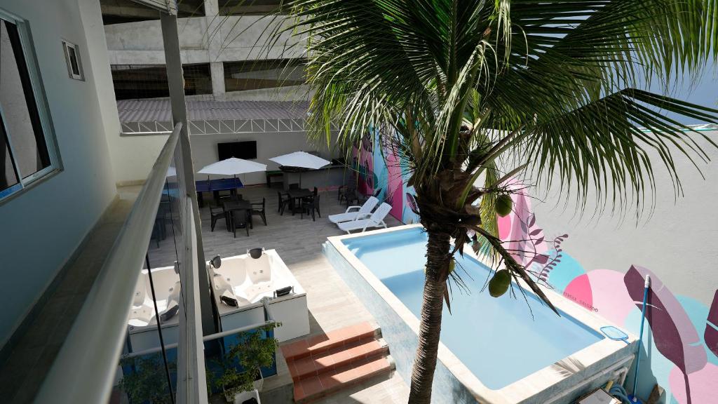 widok na basen i palmę w obiekcie CASA BELLAMARE w mieście Cartagena de Indias