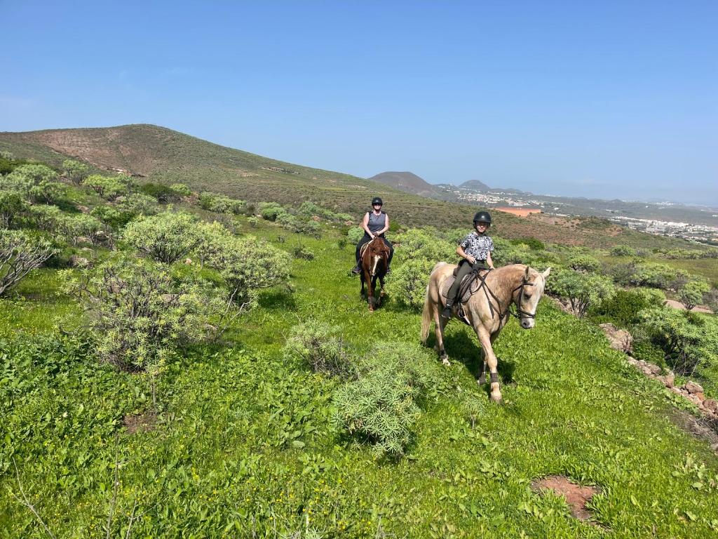 two people riding horses on a grassy hill at Country Home with horses in Telde in Ojos de Garza