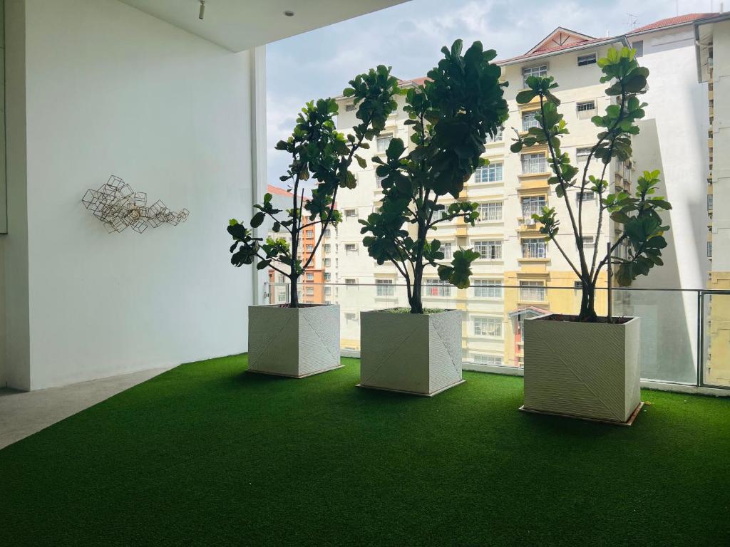 three potted trees in a room with a building at Reizz Residence By D'Amour in Kuala Lumpur