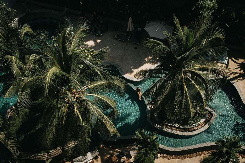 una vista sul tetto di una piscina con palme di Hotel Vellita Siem reap a Siem Reap