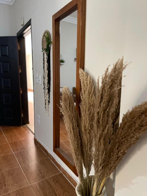 Fotografie z fotogalerie ubytování La Casa Budget v destinaci Marsa Alam City
