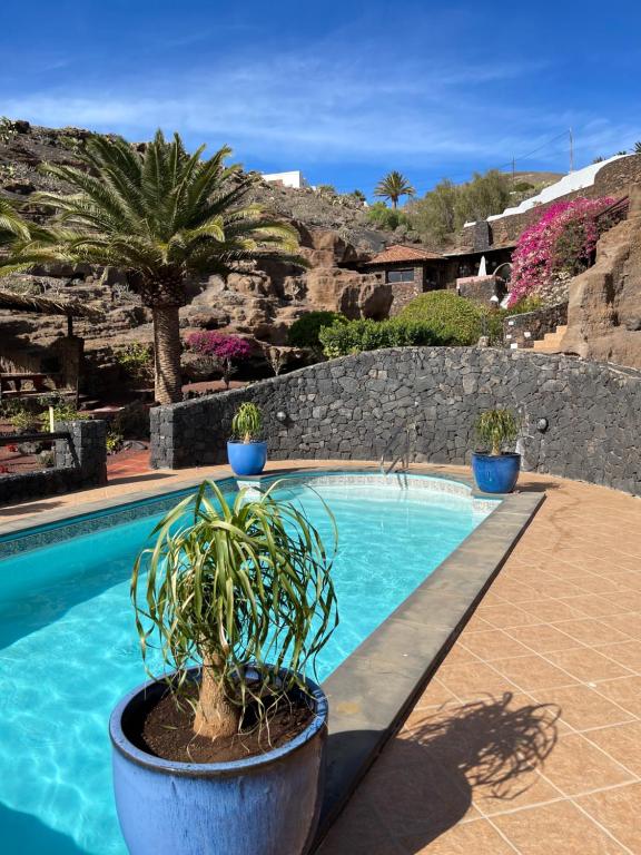 a swimming pool with potted plants next to a stone wall at Castillo Lanzarote Villa 3 - Sleep in a Volcanic Cave in La Asomada