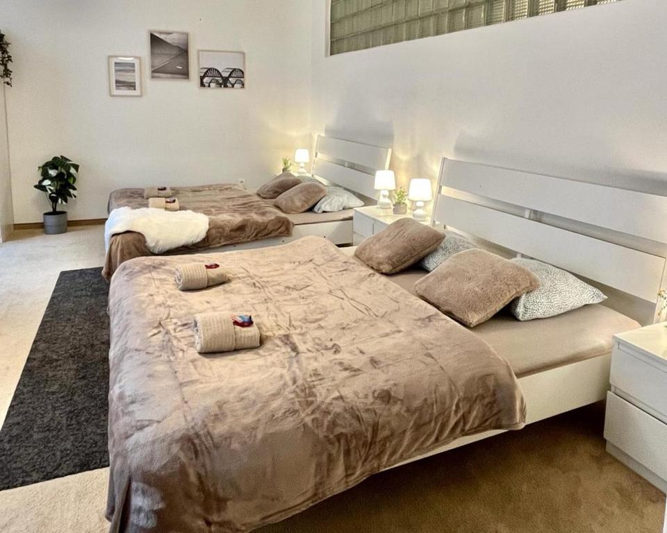 2 camas en un dormitorio con 2 camas individuales en Apartment Lea - Old Town en Bratislava