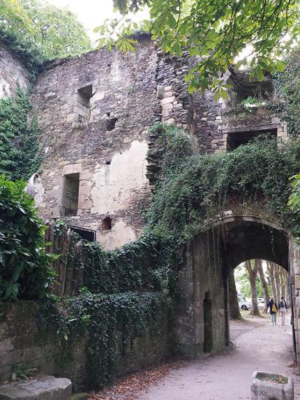 Fotografie z fotogalerie ubytování Le Moulin de Gueuzon v destinaci Rochefort-en-Terre