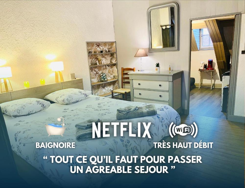 - une chambre d'hôtel avec un lit et un miroir dans l'établissement Logements Un Coin de Bigorre - T2 de campagne - Canal plus & Netflix - Wifi fibre - Centre village, à Tournay
