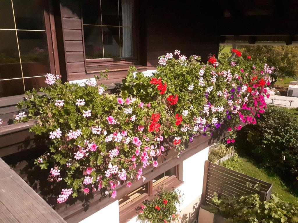 Zahrada ubytování Apartmenthaus AMELIE