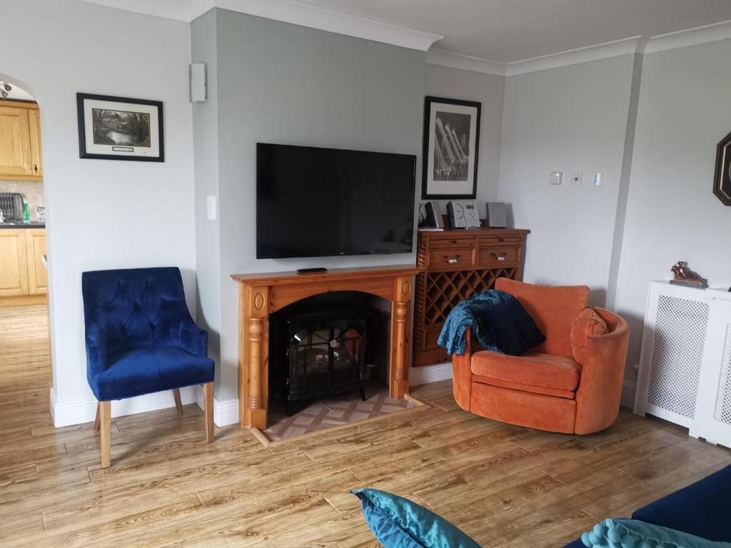 a living room with a fireplace and a television at Tranquil unit close to Kells in Kilkenny