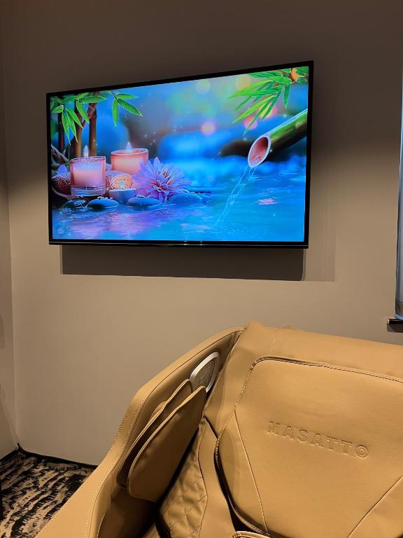 TV a/nebo společenská místnost v ubytování Hotel River Park