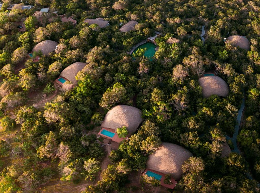 een uitzicht over een bos met hooidoken bij Uga Chena Huts - Yala - All Inclusive in Yala