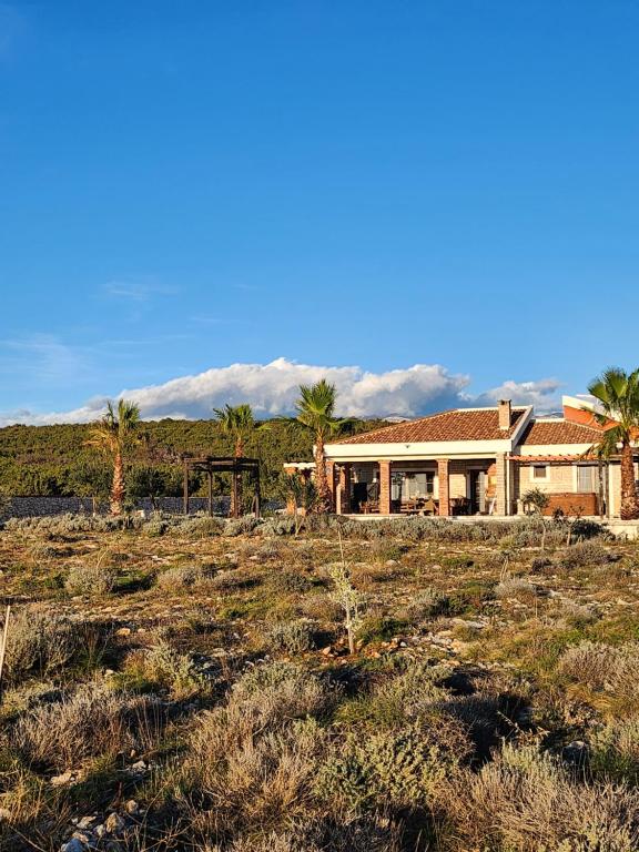 a house in the middle of a field with palm trees at Villa Melody Novalja in Novalja