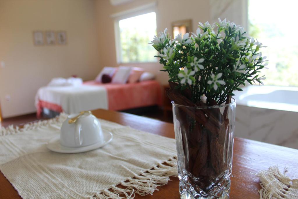 貢薩爾維斯的住宿－Chales Maria Flor，花瓶,坐在桌子上