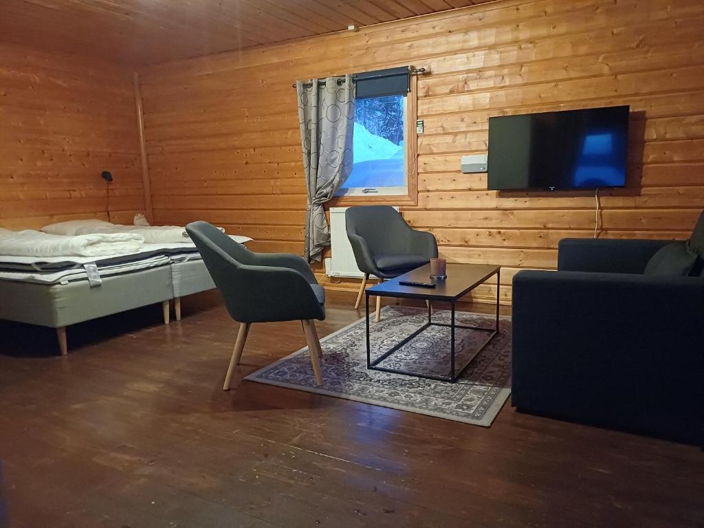 TV a/nebo společenská místnost v ubytování LAKESIDE AURORA CABINS