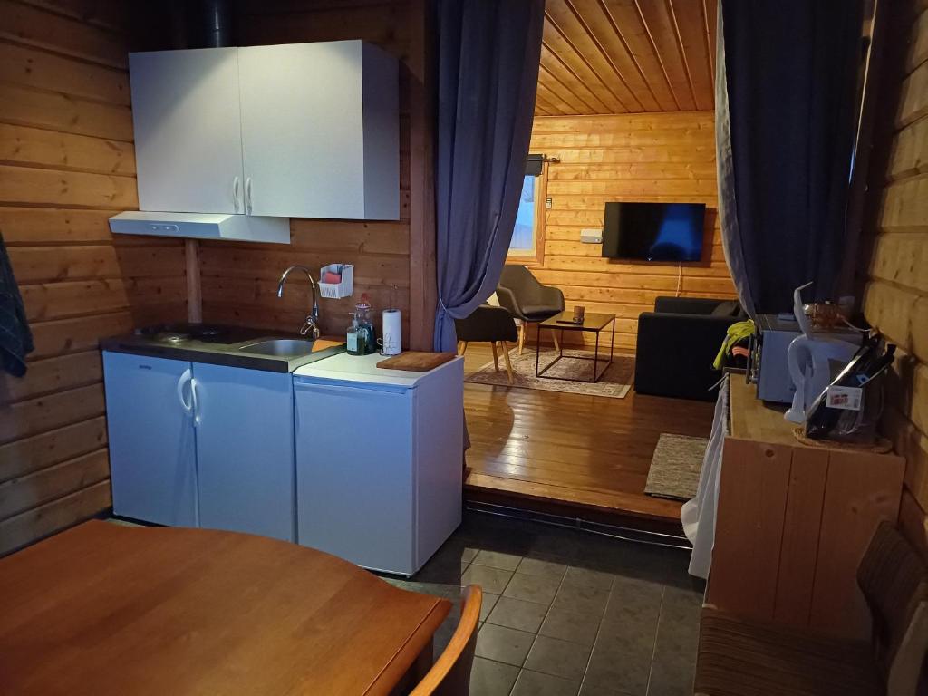 TV a/nebo společenská místnost v ubytování LAKESIDE AURORA CABINS