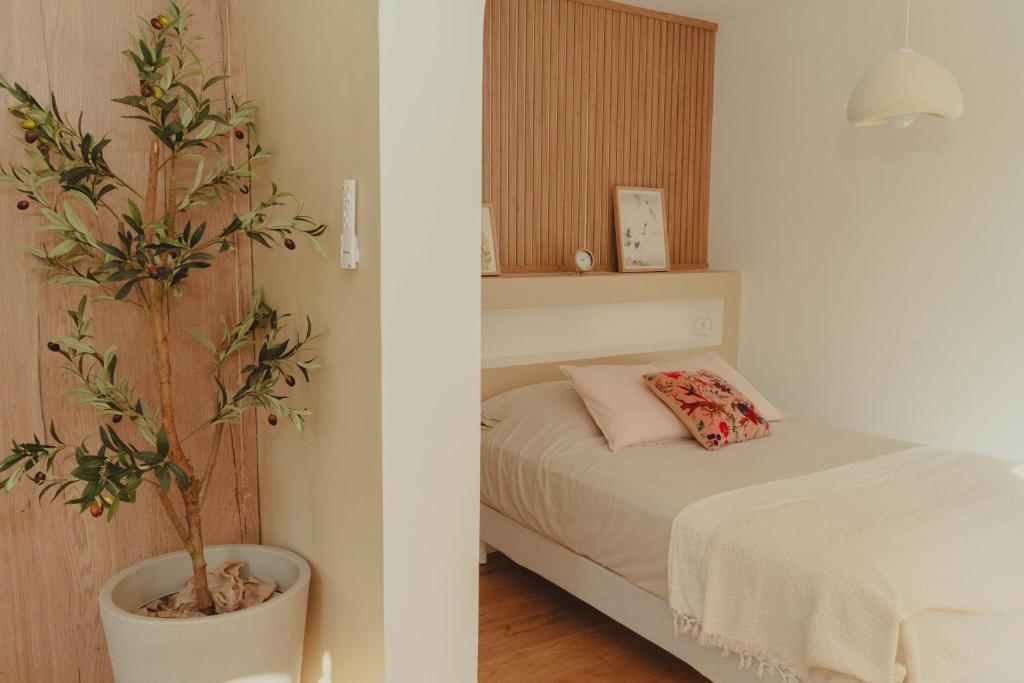 a bedroom with a bed and a potted plant at Au cœur de Hyeres, Idéal pour les couples ! in Hyères