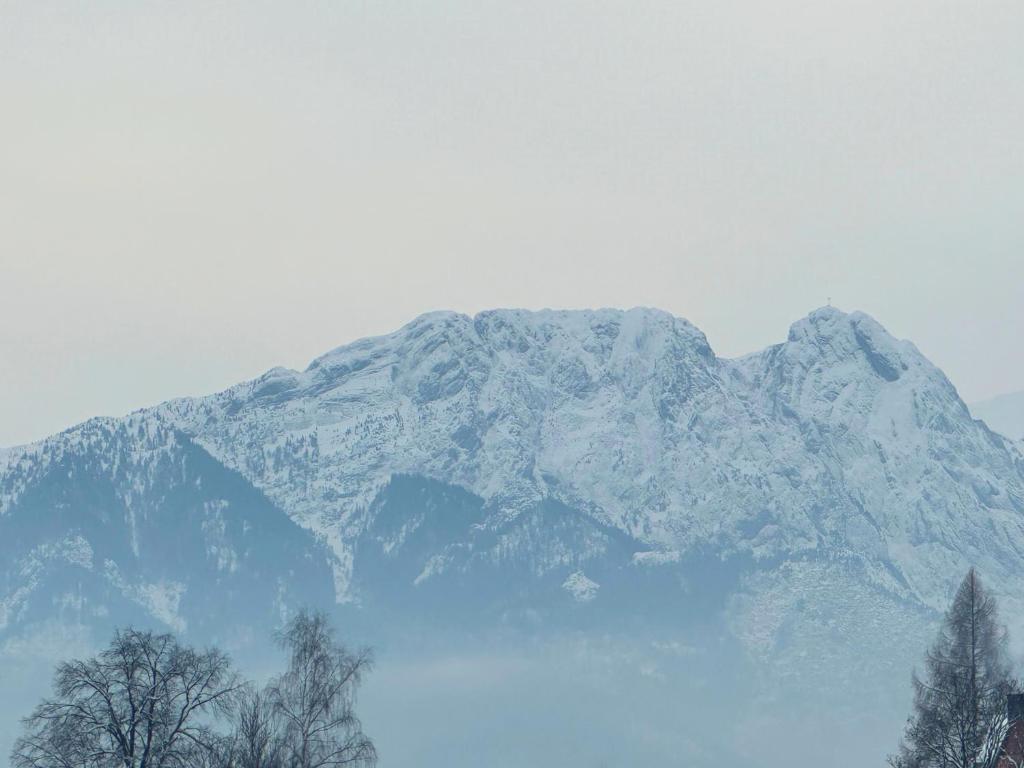 a snow covered mountain with trees in front of it at Apartamenty Satoła Ciągłówka in Zakopane