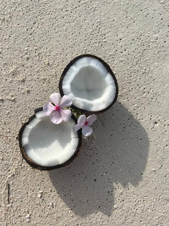 Fotografie z fotogalerie ubytování Gaskara Guesthouse v destinaci Shaviyani Atoll