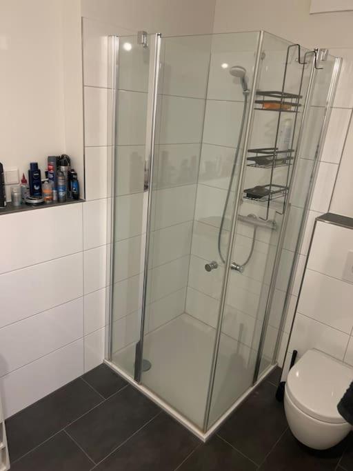 La salle de bains est pourvue d'une douche et de toilettes. dans l'établissement Schönes Apartment Nähe HBF, à Brême