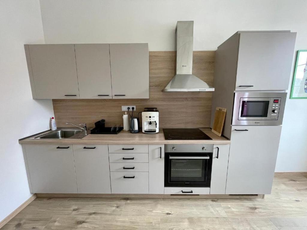 Dapur atau dapur kecil di Apartmán Široká Bechyně