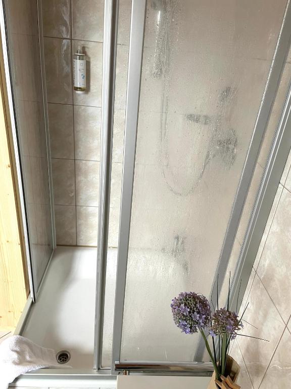 Koupelna v ubytování Appartement Aldea