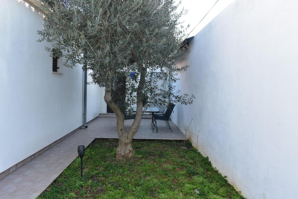 Zdjęcie z galerii obiektu Apartments Krolo w mieście Zadar