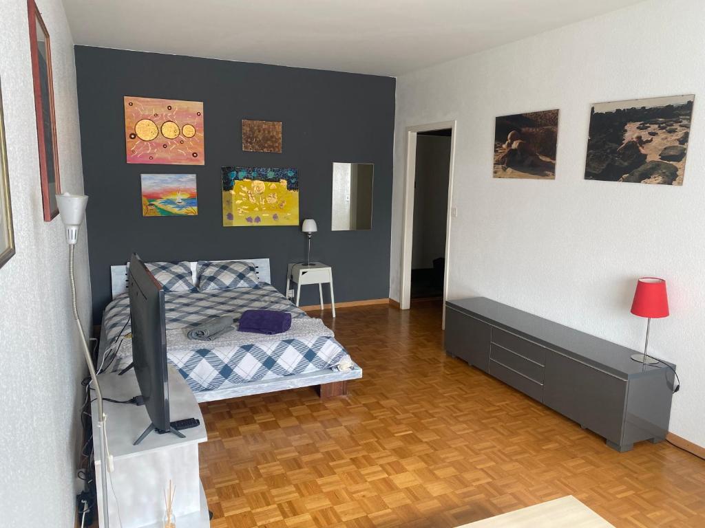 1 dormitorio con 1 cama y TV en Genève : Proche Lac, ONU et Centre., en Ginebra