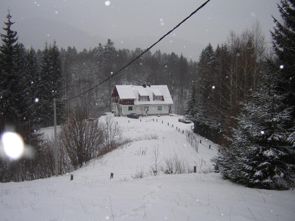 een huis op een heuvel in de sneeuw bij Apartment Park Crni Lug in Crni Lug