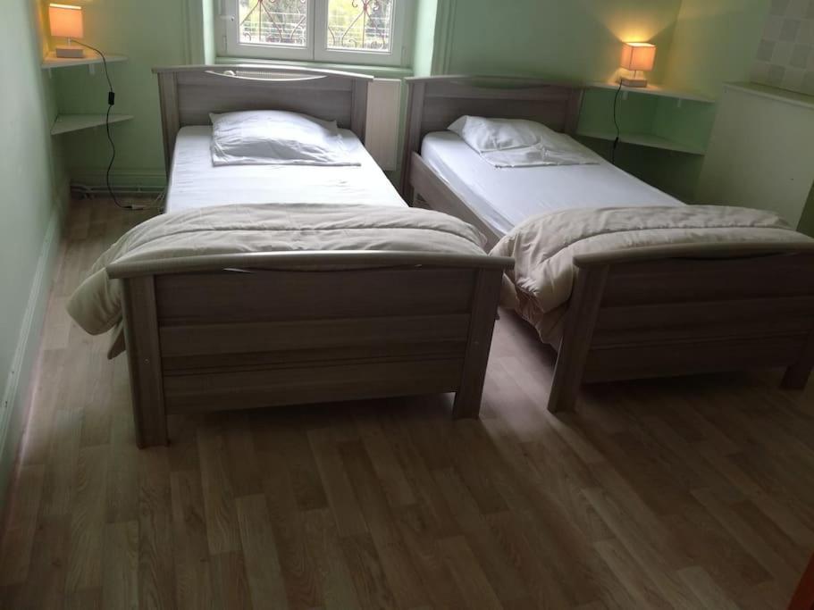 two twin beds in a room with two windows at Gite au sein du Parc des Volcans d&#39;Auvergne, tous commerces à pied in Neussargues-Moissac