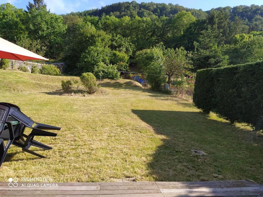 a park bench sitting in a field of grass at Gite au sein du Parc des Volcans d&#39;Auvergne, tous commerces à pied in Neussargues-Moissac