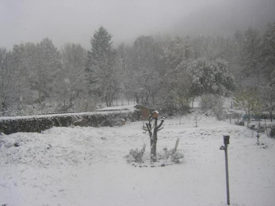 a snow covered yard with a tree and a fire hydrant at Gite au sein du Parc des Volcans d&#39;Auvergne, tous commerces à pied in Neussargues-Moissac