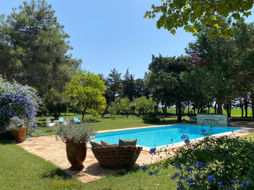 une piscine dans un jardin planté de fleurs et d'arbres dans l'établissement Mas Antonine, Grenouille, à Arles