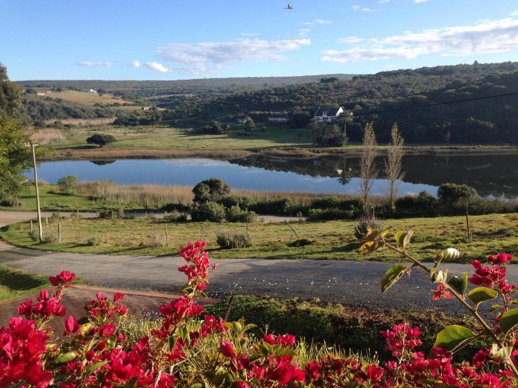 a lake in the middle of a field with flowers at Waterryk Eco Guest Farm in Stilbaai