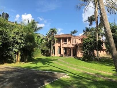 a house with a palm tree in front of a road at The Twin Grand Apartments in Katunayake