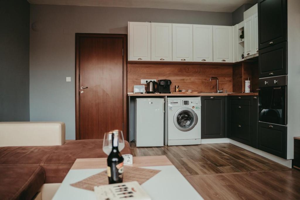 una cucina con lavatrice di Tyulev apartment 2 a Varna