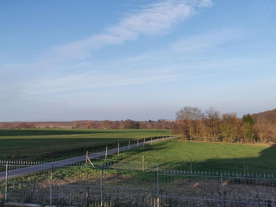 a fence in front of a field with a road at Ferienwohnung in der Natur in Ober-Hilbersheim