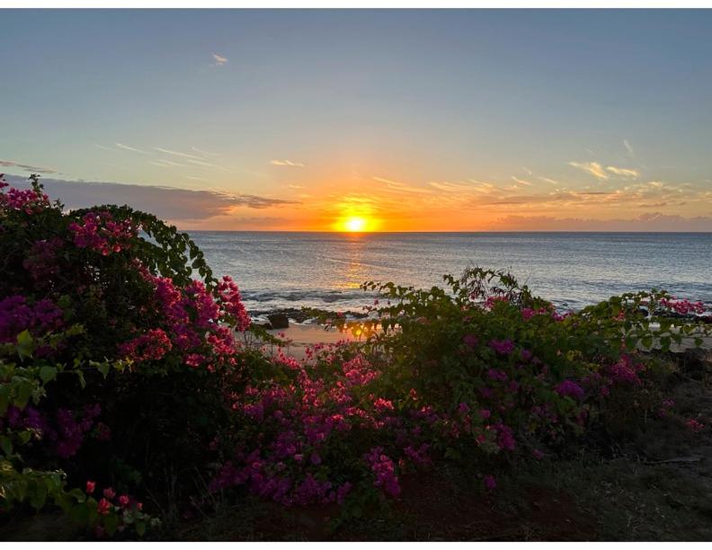 un coucher de soleil sur l'océan avec des fleurs roses dans l'établissement Kepuhi Sunset Ocean View - Ground Floor Unit by Wrinkly Sheets, LLC, à Maunaloa