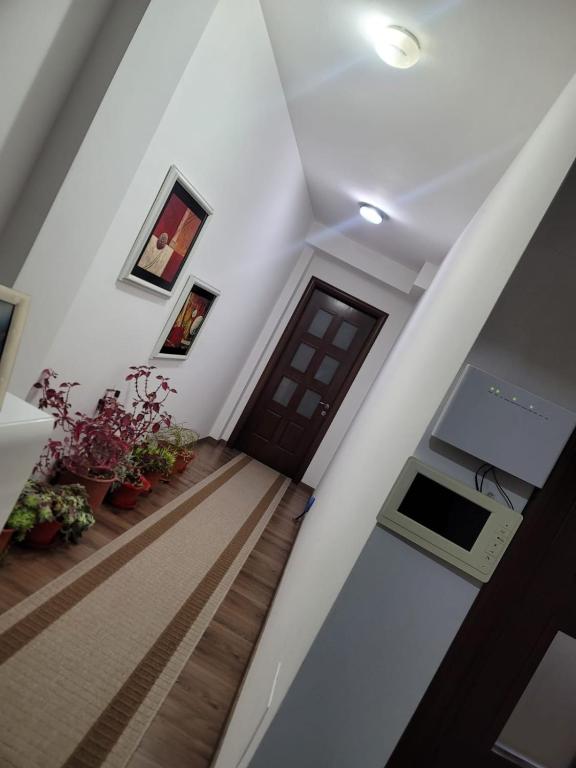 Kuchyň nebo kuchyňský kout v ubytování Guesthouse Kocibelli
