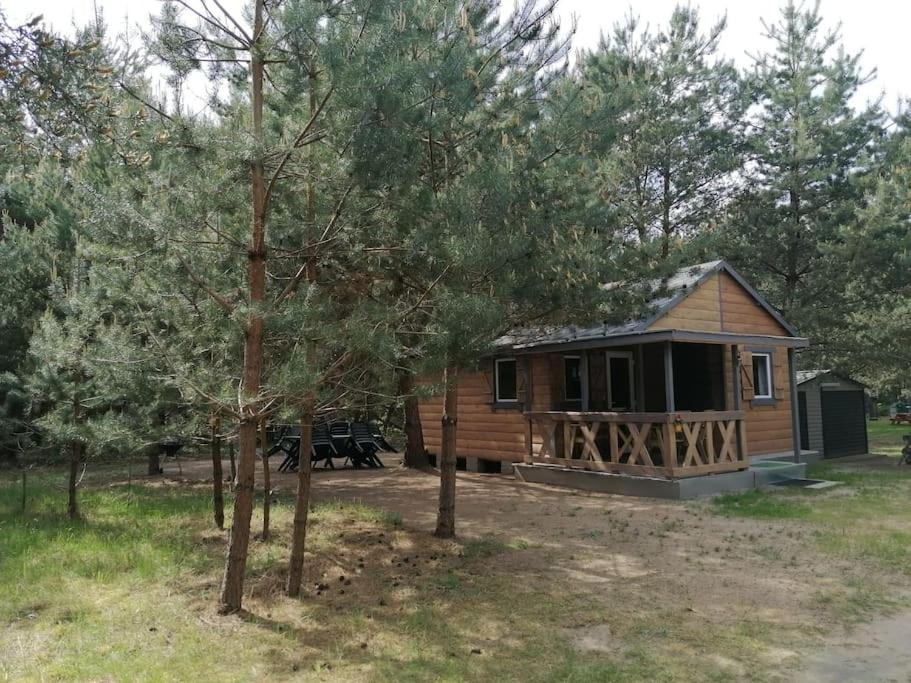 una cabaña de madera en el bosque con árboles en Świetna Chatka, en Świętne