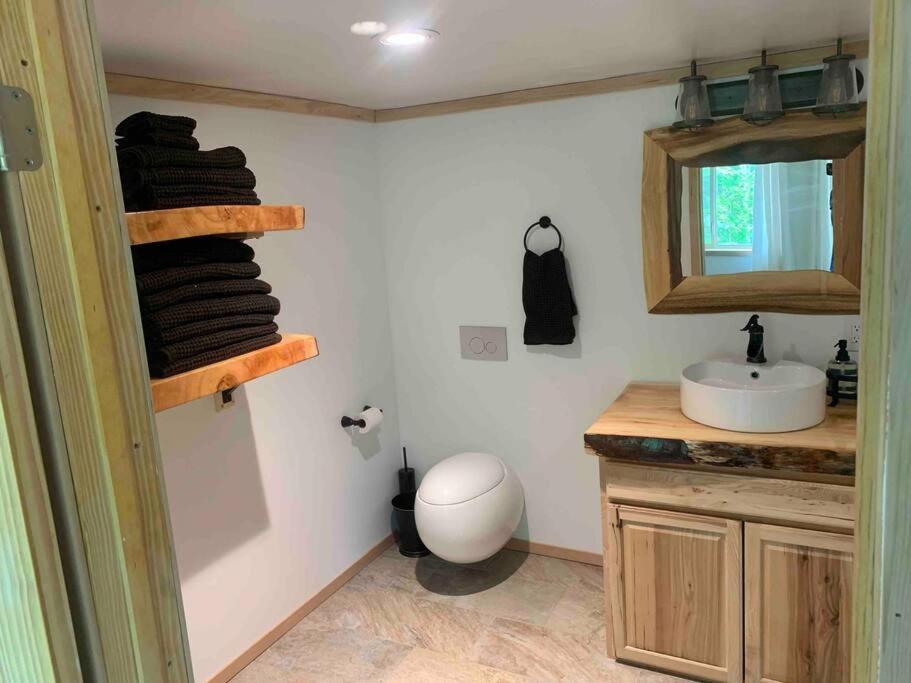 a bathroom with a sink and a mirror at Brother Bear Lodge at Talkeetna in Talkeetna