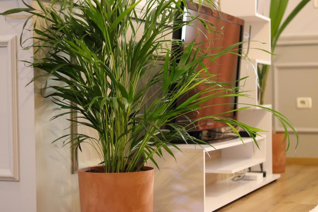 Johan's Apartment - Image 8