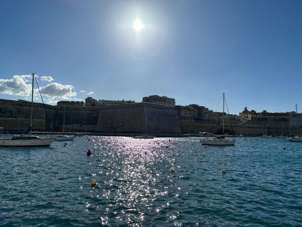 a group of boats in a body of water at Traditional Maltese Sea View Apartment in Kalkara