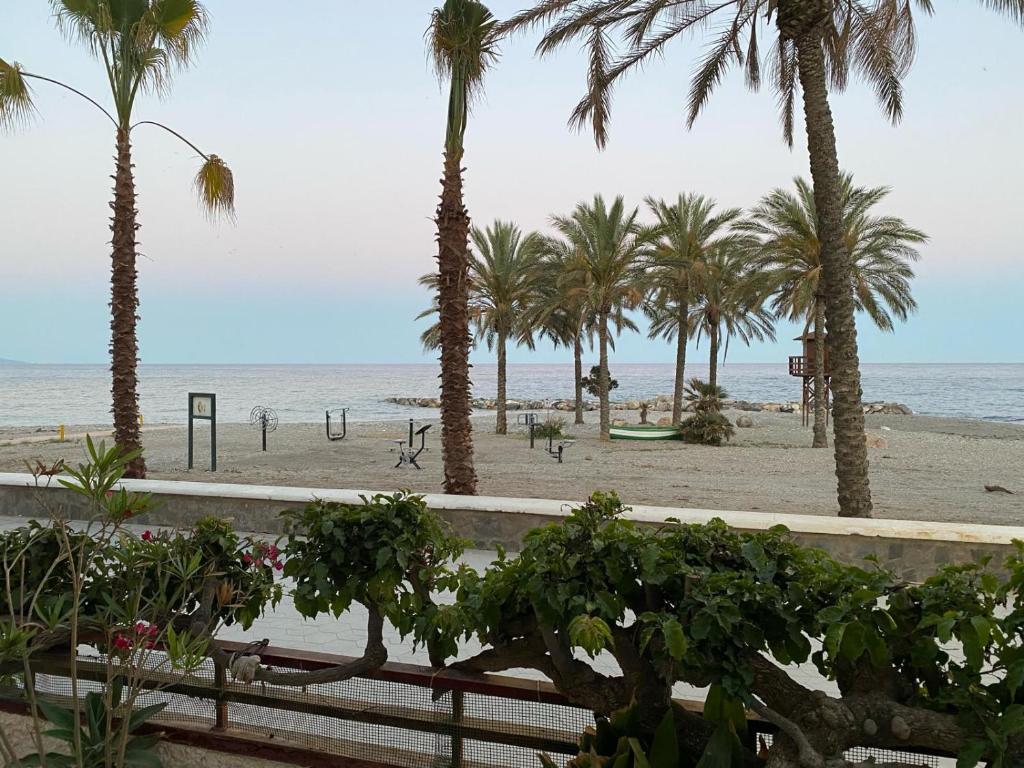 uma praia com palmeiras e o oceano em Apartamento lujoso en primera linea de playa em Castell de Ferro