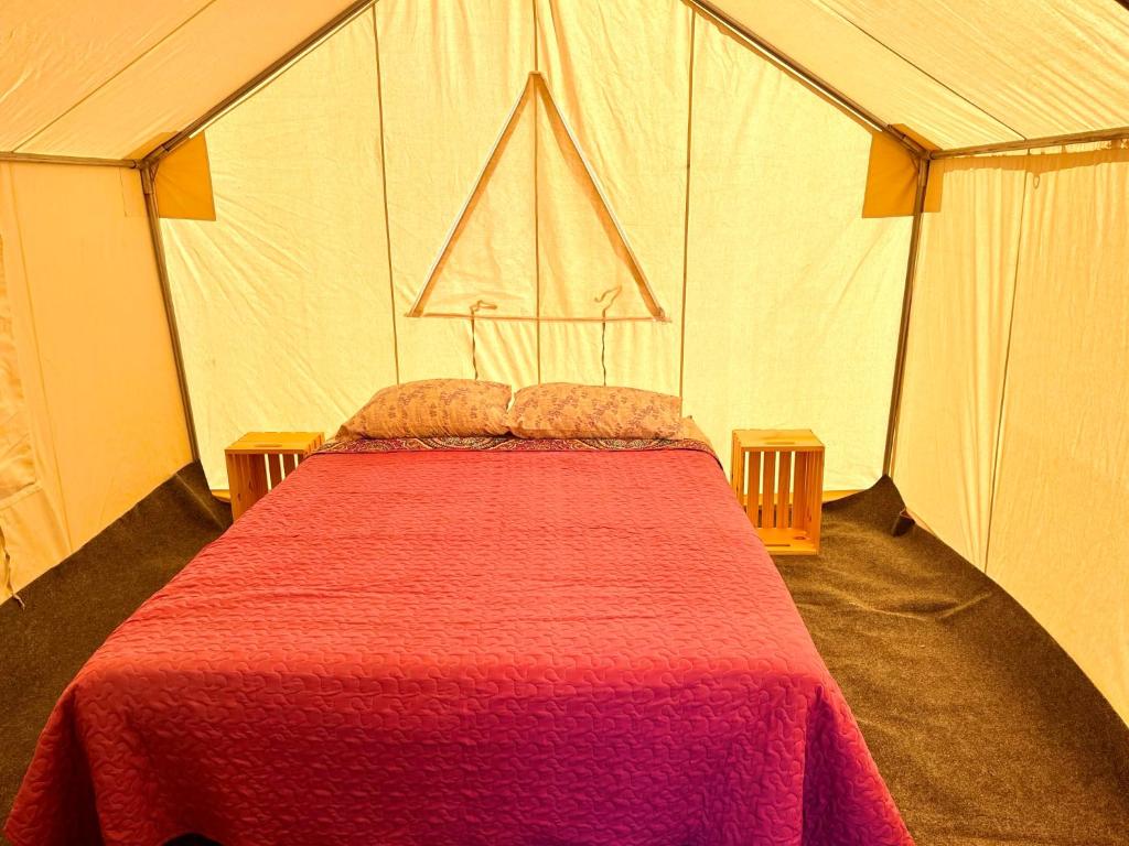 sypialnia z czerwonym łóżkiem w namiocie w obiekcie Open Sky w mieście Cumberland