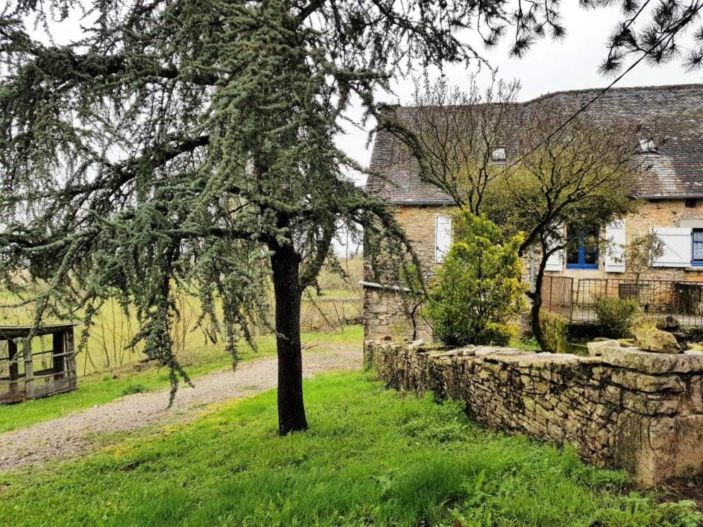 un arbre dans un champ à côté d'un mur de pierre dans l'établissement Gîte de France à Chasteaux 2 épis - Gîte de France 4 personnes 364, à Chasteaux