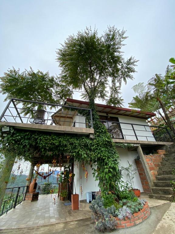 una casa con un árbol creciendo de ella en Montecafé Jardín, en Jardín