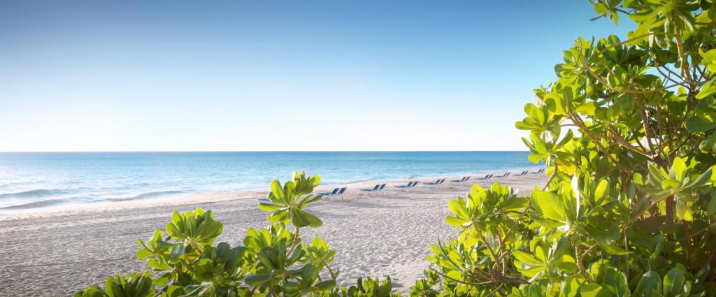 Pelican Grand Beach Resort, a Noble House Resort photo