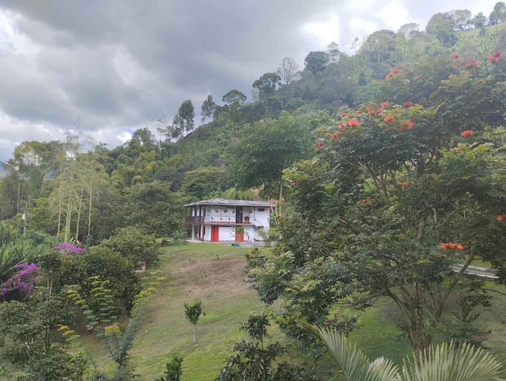 a small house on top of a hill with trees at Kiota - casa completa - 74 m2 in Jardin