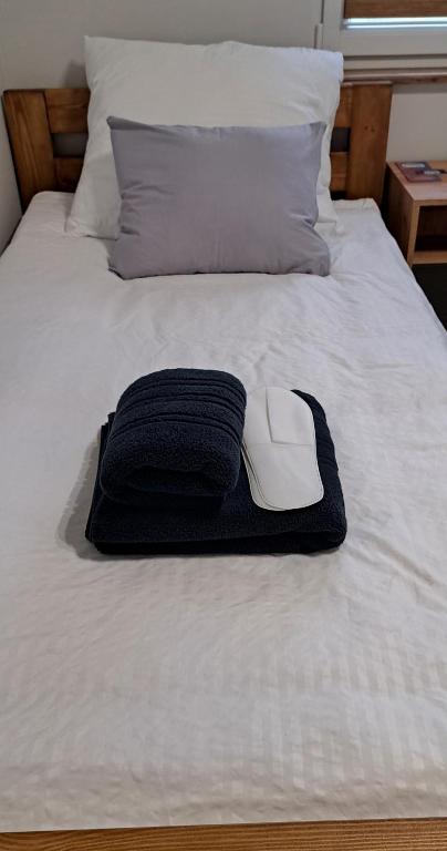 Postel nebo postele na pokoji v ubytování Noclegi u Lidki