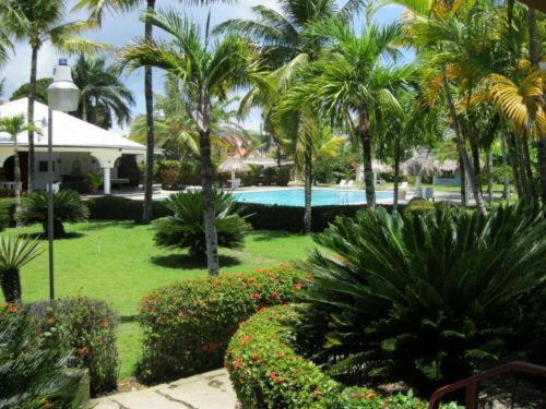 a resort yard with a swimming pool and palm trees at DIVERSITY HOTEL in Sosúa