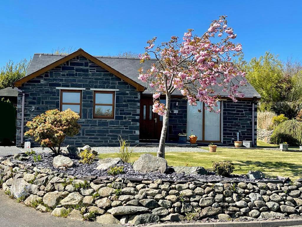 una pequeña casa con un árbol delante en Yr Encil en Gaerwen